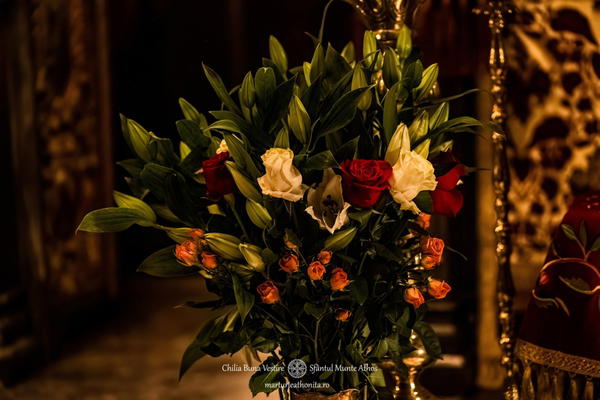 MAN02516-topaz-denoise