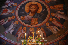 DSC06480