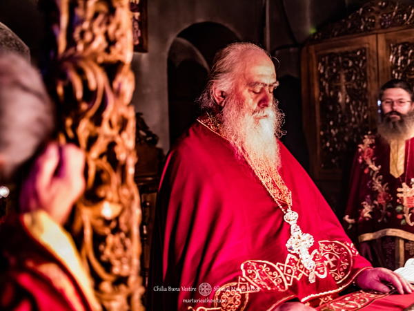 IMG2245-topaz-denoise