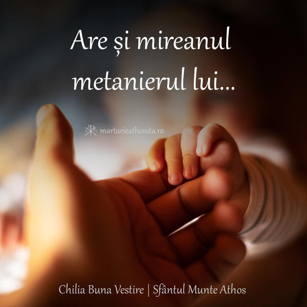 Are si mireanul metanierul lui