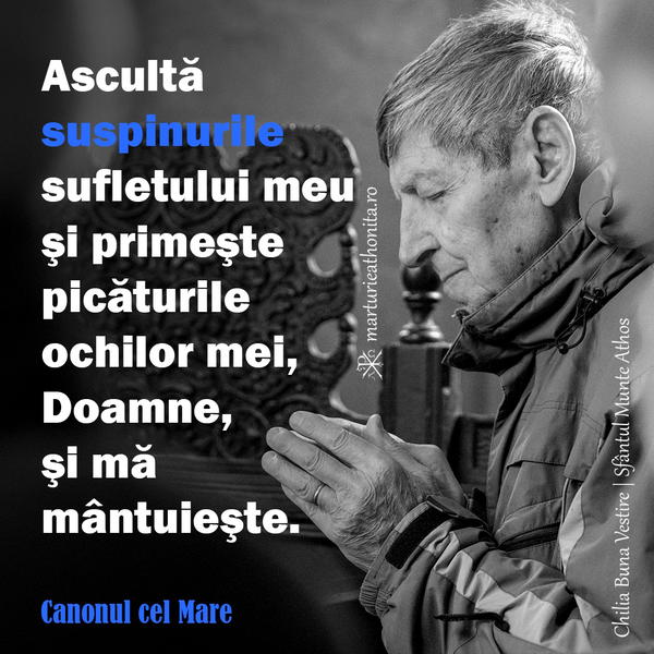 Canonul cel Mare asculta suspinurile sufletului meu