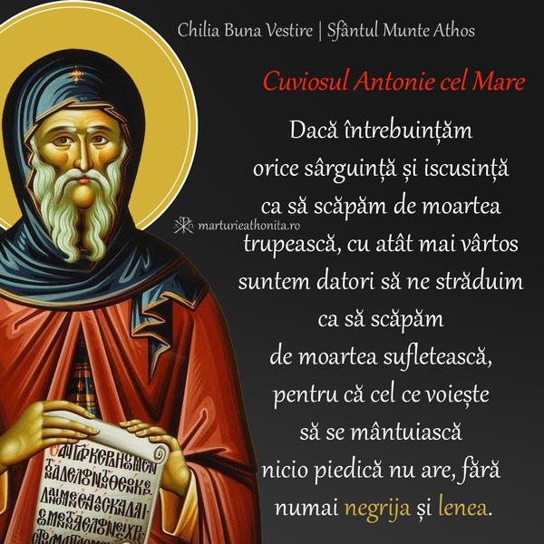 Cuv. Antonie cel Mare daca intrebuintam orice sarguinta si iscusinta
