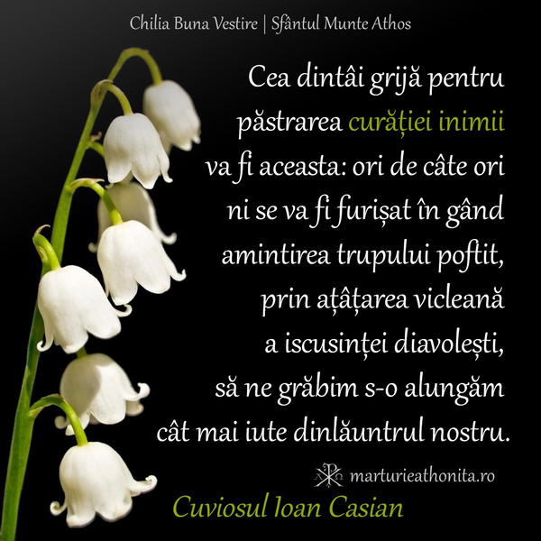 Cuv. Ioan Casian cea dintai grija pentru pastrarea curatiei inimii