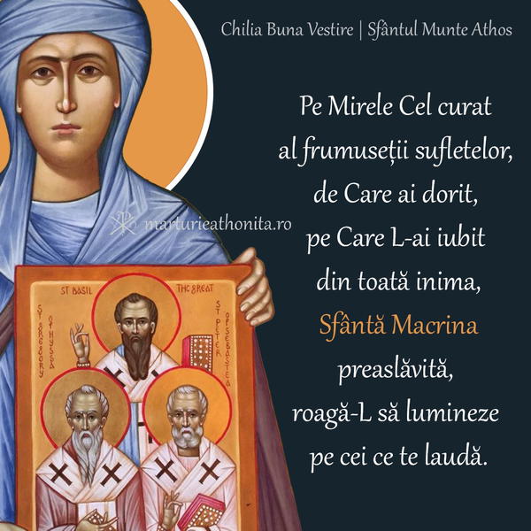 Cuv. Macrina
