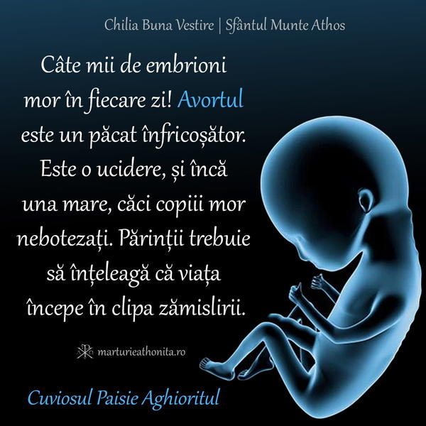 Cuv. Paisie Aghioritul cate mii de embrioni mor in fiecare zi