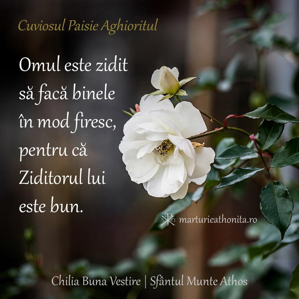Cuv. Paisie Aghioritul omul este zidit sa faca binele in mod firesc