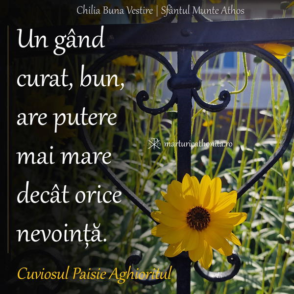 Cuv. Paisie Aghioritul un gand bun curat