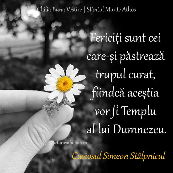 Cuv. Simeon Stalpnicul trupul curat