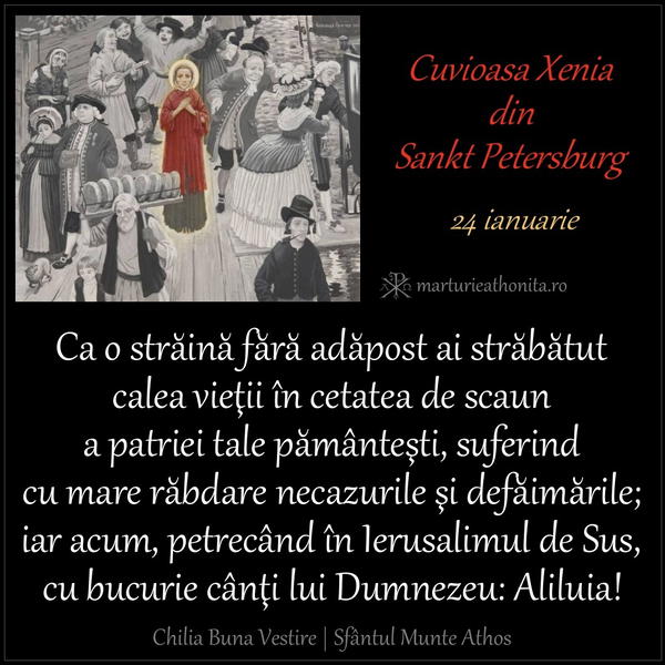 Cuv. Xenia