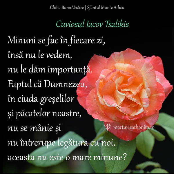 Cuviosul Iacov Tsalikis minuni se fac in fiecare zi