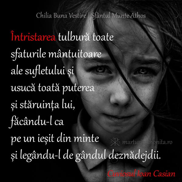 Cuviosul Ioan Casian intristarea