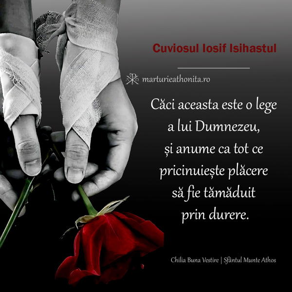 Cuviosul Iosif Isihastul tot ce pricenuieste placere sa fie tamaduit prin durere