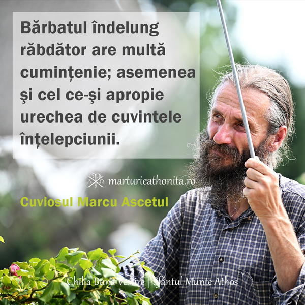 Cuviosul Marcu Ascetul Barbatul indelung rabdator are multa cumintenie