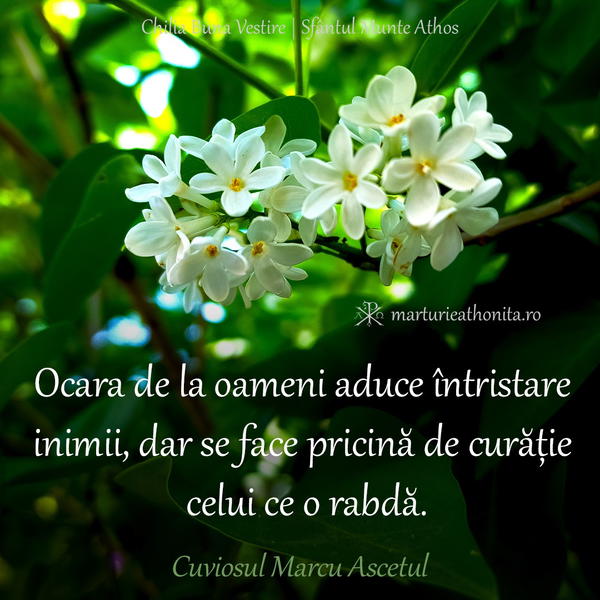 Cuviosul Marcu Ascetul ocara de la oameni