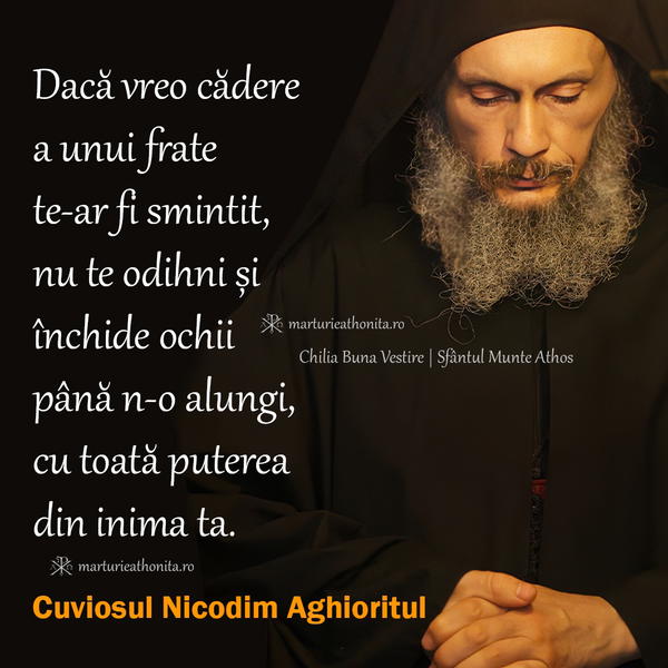 Cuviosul Nicodim Aghioritul daca vreo cadere a unui frate te ar fi smintit
