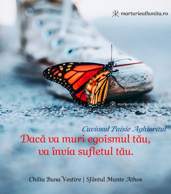 Cuviosul Paisie Aghioritul Daca va muri egoismul fluture