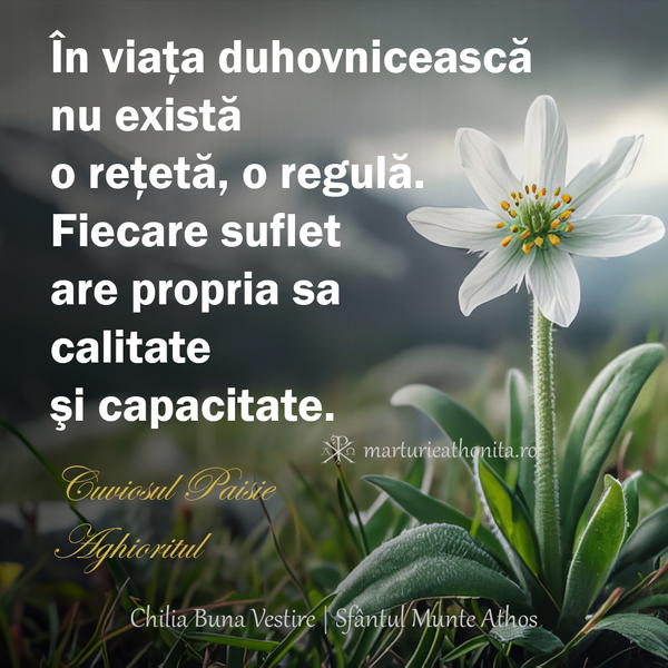 Cuviosul Paisie Aghioritul in viata duhovniceasca nu exista o reteta