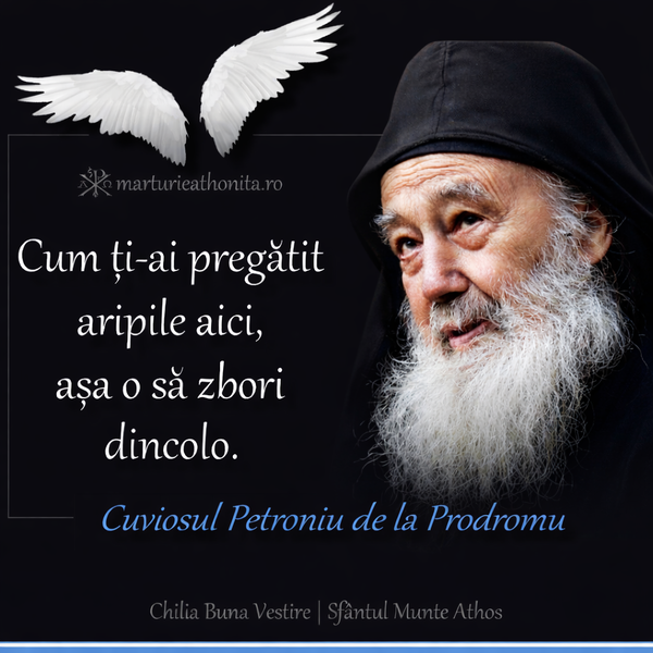 Cuviosul Petroniu de la Prodromu cum ti ai pregatit aripile