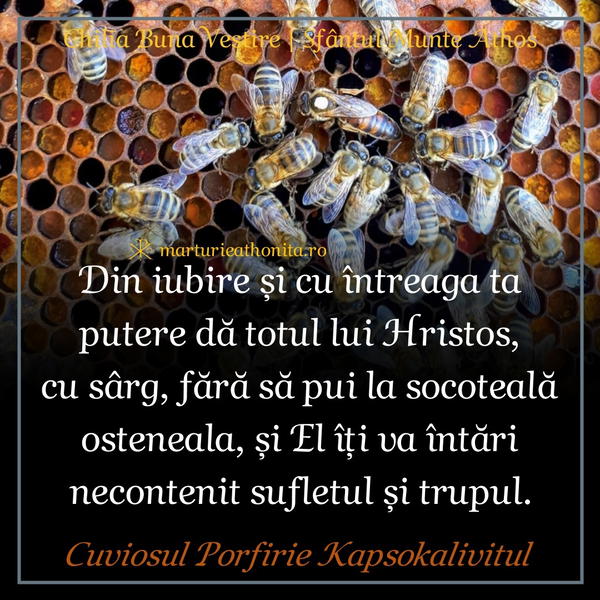 Cuviosul Porfirie osteneala var 2