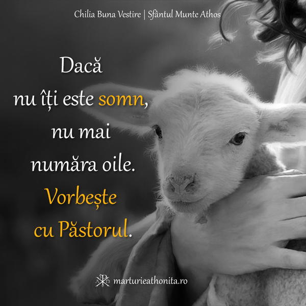 Daca nu iti este somn 2
