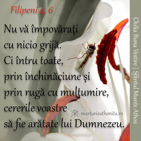 Filipeni 4 6 nu va impovarati cu nicio grija