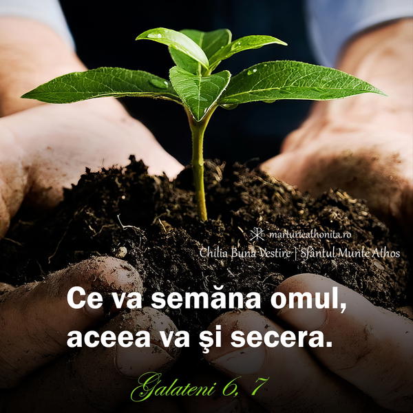 Galateni 6 7 ce va semana omul