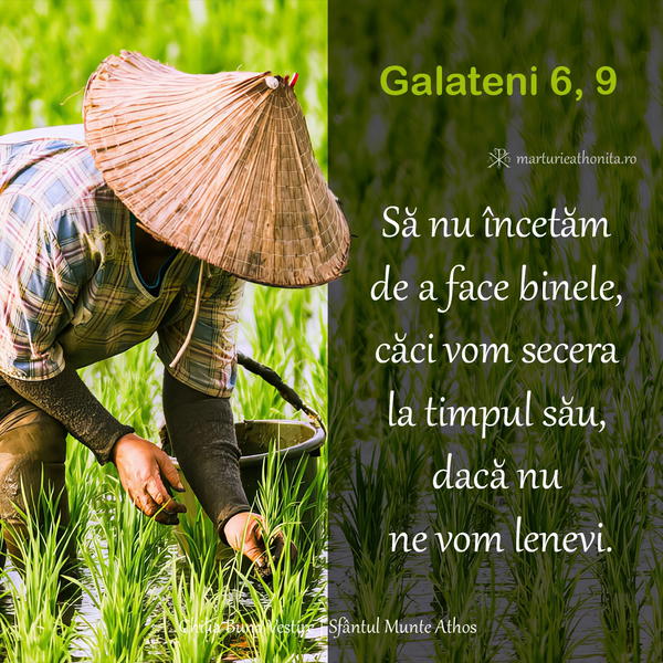 Galateni 6 9 sa nu incetam de a face binele