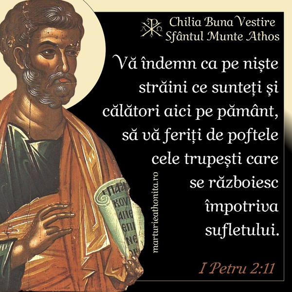 I Petru 2 11