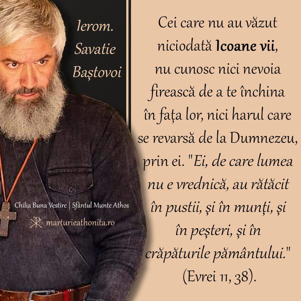Ierom. Savatie Bastovoi Icoane vii 3
