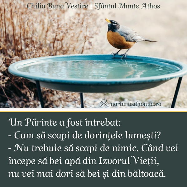 Izvorul Vietii baltoaca