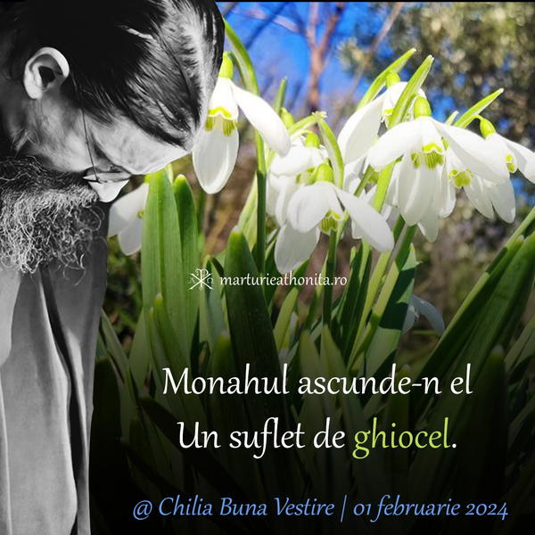 Monahul ascunde n el un suflet de ghiocel 2