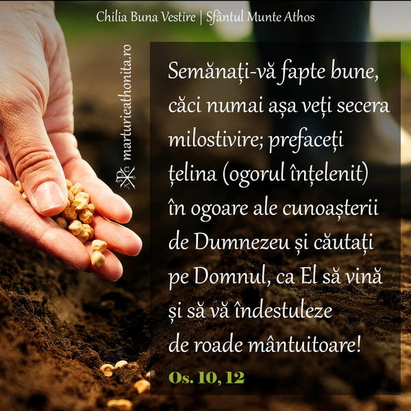 Os 10 12 semanati va fapte bune