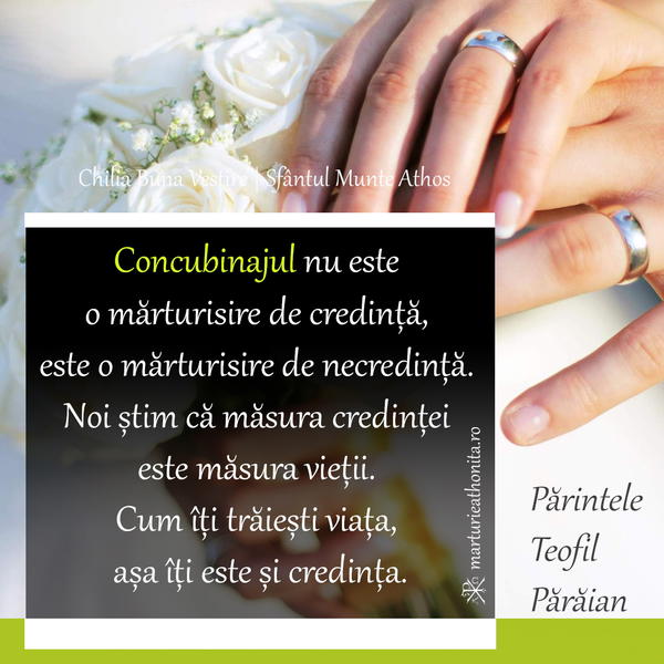 Parintele Teofil Paraian Concubinajul nu este o marturisire de credinta