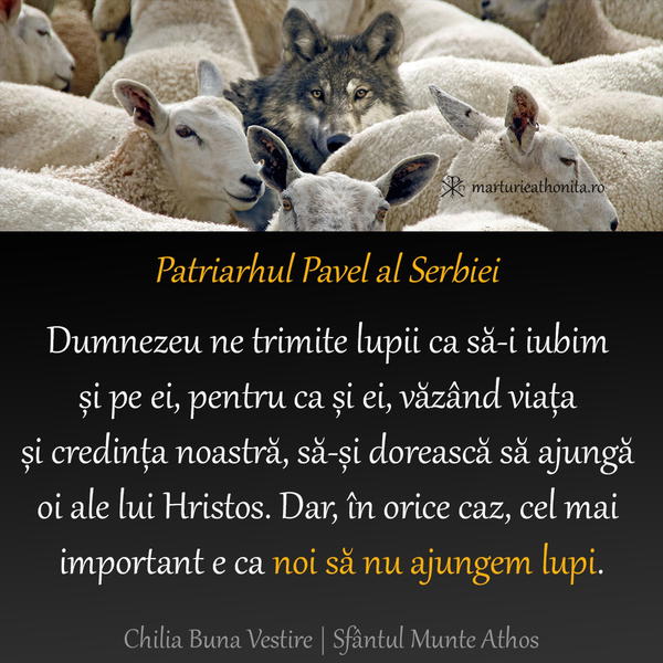 Patriarhul Pavel al Serbiei noi sa nu ajungem lupi