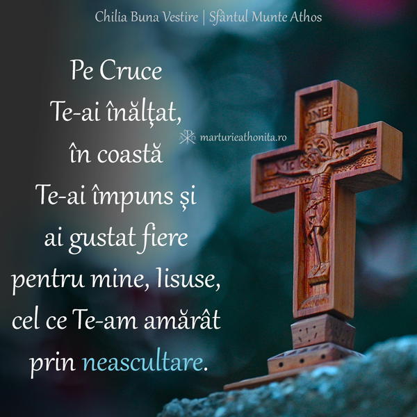 Pe Cruce Te ai inaltat