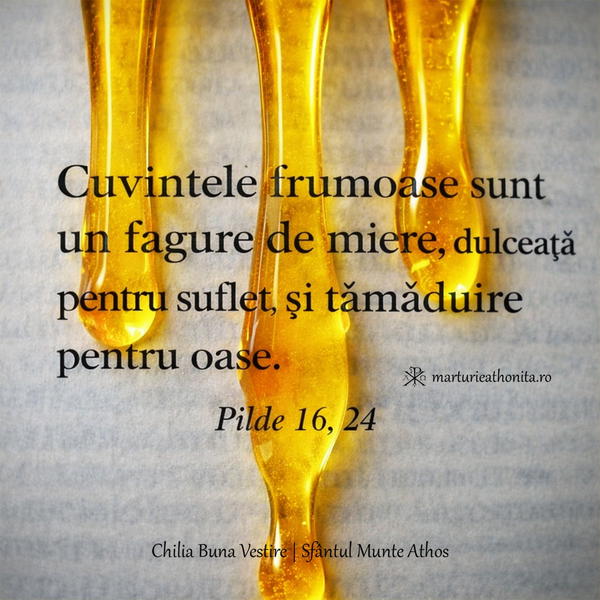 Pilde 16 24 Cuvintele frumoase sunt un fagure de miere