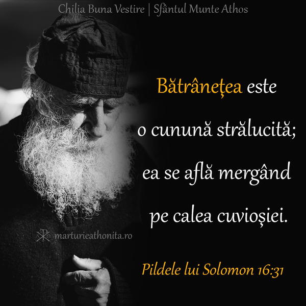 Pildele lui Solomon batranetea