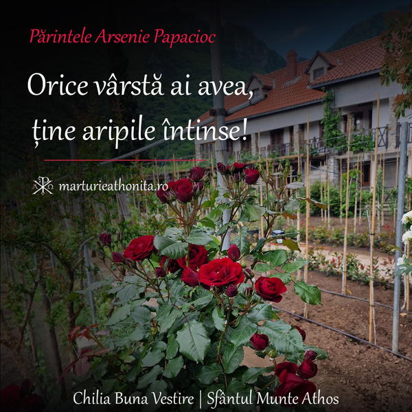 Pr. Arsenie Papacioc orice varsta ai avea