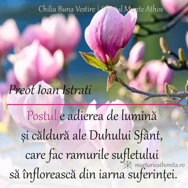 Pr. Ioan Istrati postul magnolie 5
