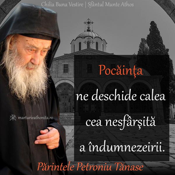 Pr. Petroniu Tanase pocainta