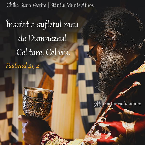 Psalmul 41 2 insetat a sufletul meu