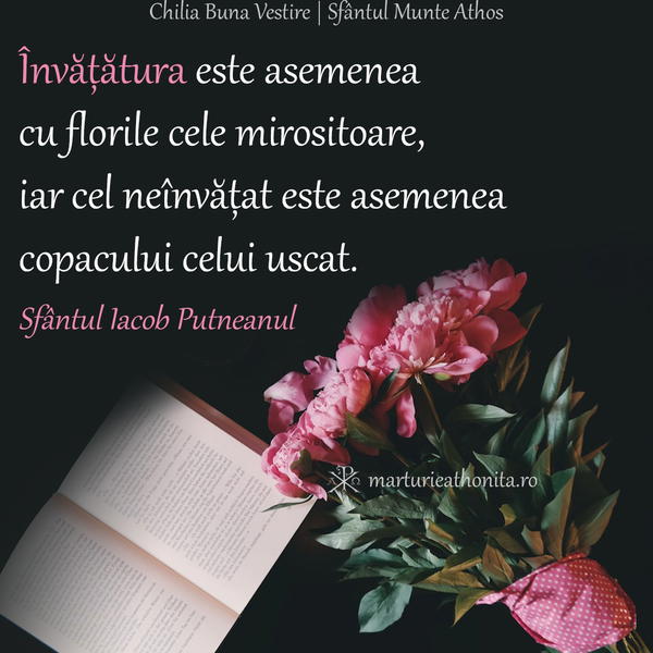 Sf. Iacob Putneanul invatatura