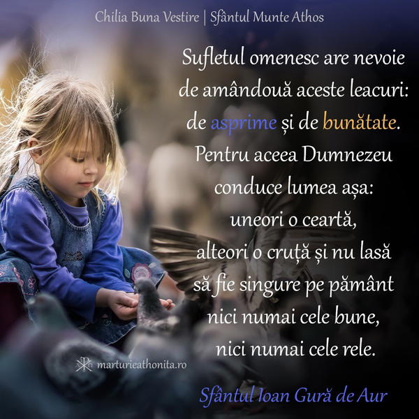 Sf. Ioan Gura de Aur sufletul omenesc are nevoie si de asprime si de bunatate