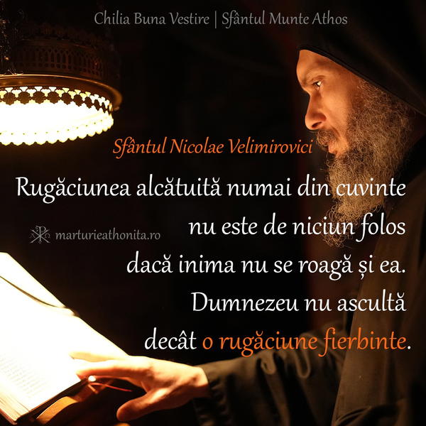 Sf. Nicolae Velimirovici rugaciune fierbinte
