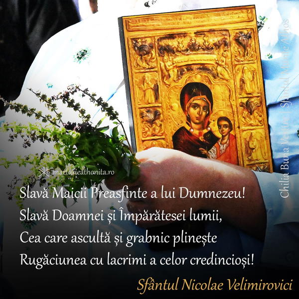 Sf. Nicolae Velimirovici slava Maicii Domnului 2