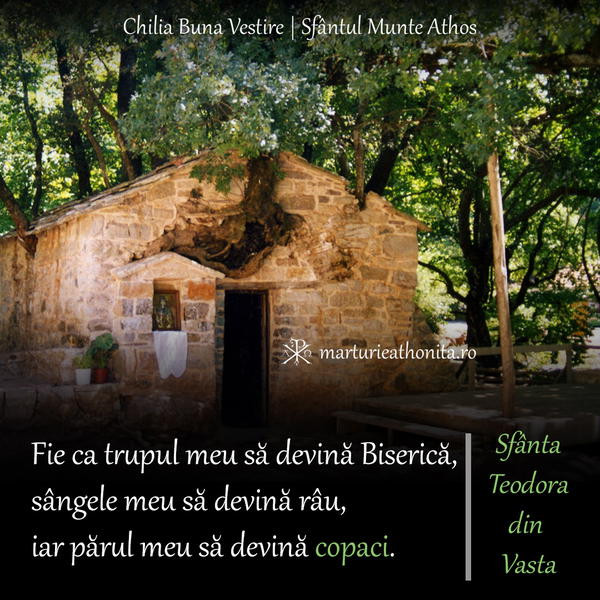 Sf. Teodora din Vasta