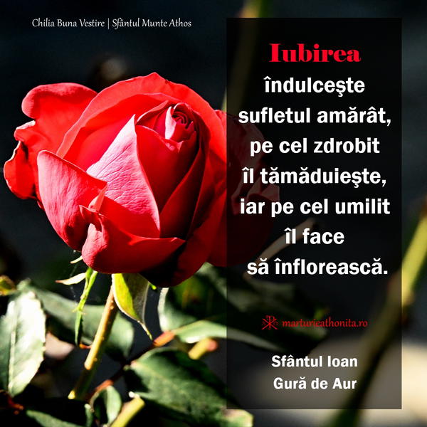Sfantul Ioan Gura de Aur iubirea indulceste sufletul amarat