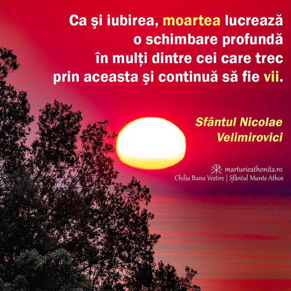 Sfantul Nicolae Velimirovici Ca si iubirea moartea lucreaza o schimbare profunda