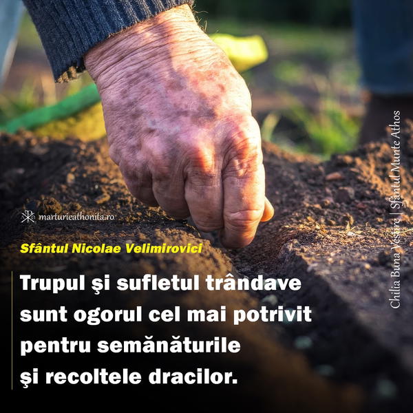 Sfantul Nicolae Velimirovici Trupul si sufletul trandave