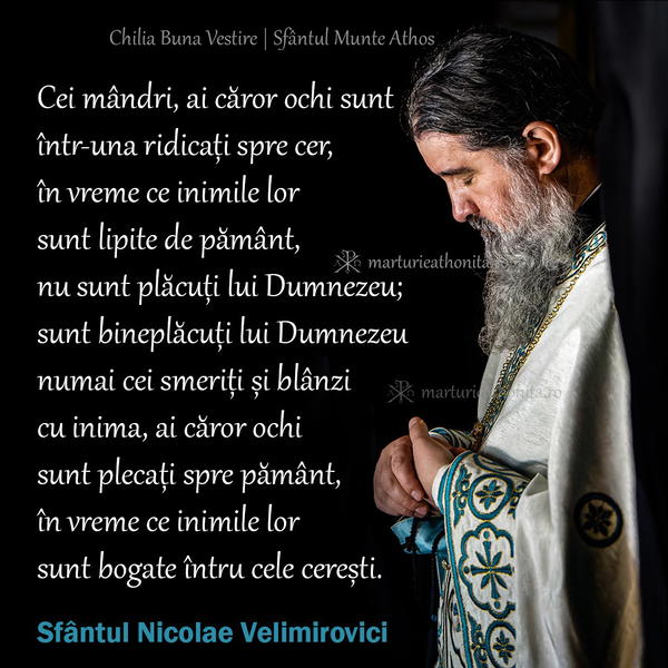 Sfantul Nicolae Velimirovici cei smeriti si blanzi cu inima